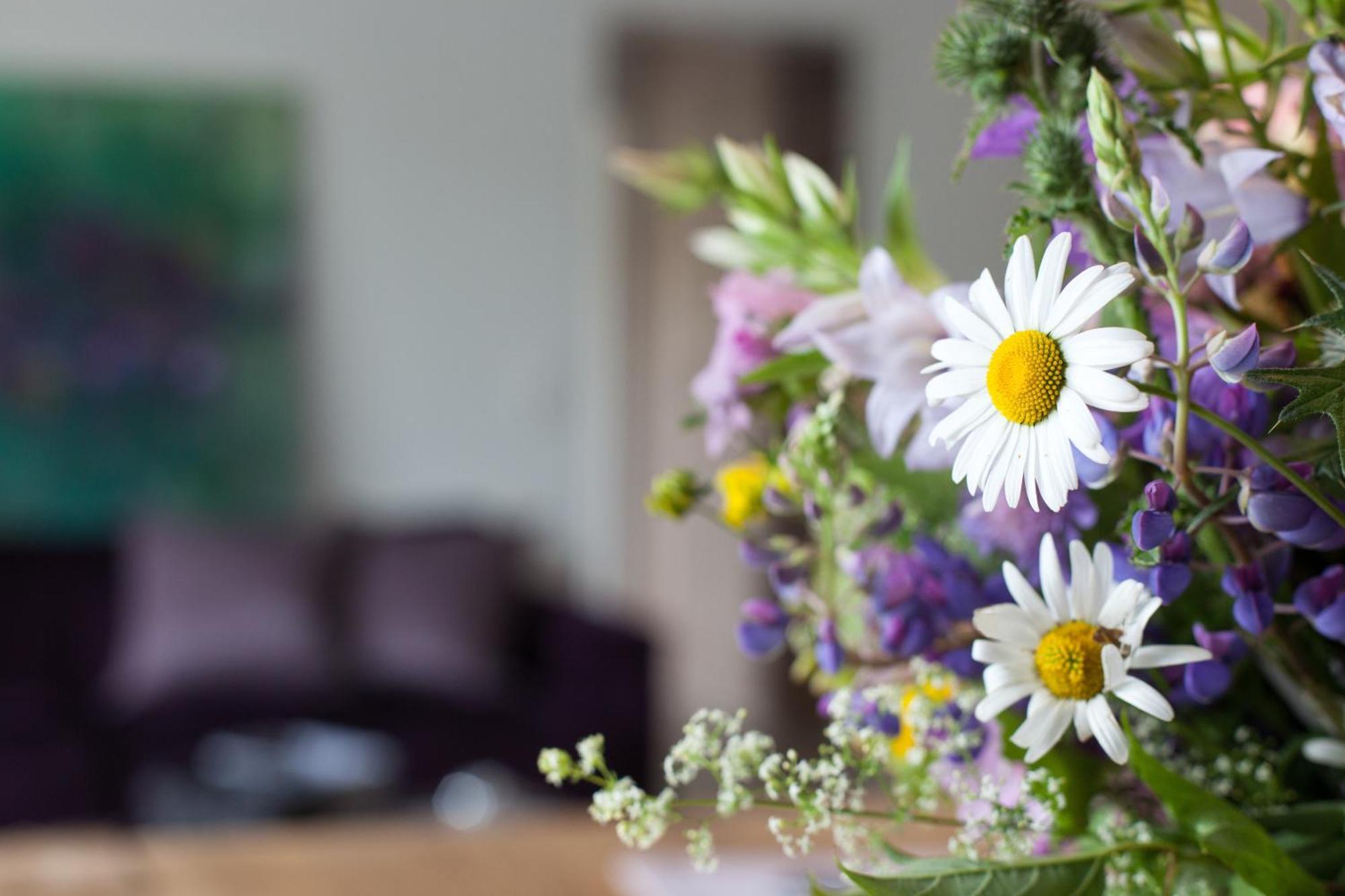 Hotel Nuhnetal Winterberg Rom bilde